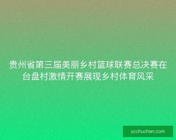 贵州省第三届美丽乡村篮球联赛总决赛在台盘村激情开赛展现乡村体育风采